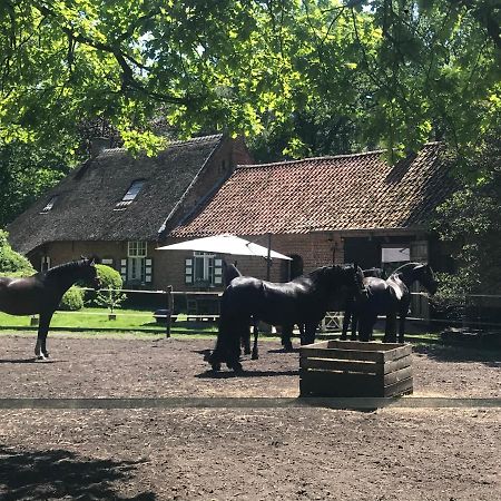 De Swaenhoeve Zoersel Екстер'єр фото
