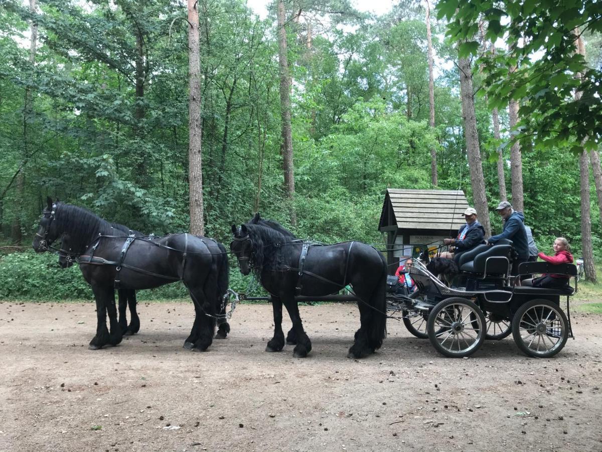 De Swaenhoeve Zoersel Екстер'єр фото